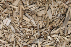 biomass boilers Whitleigh